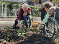 樹の里特養ブログ
