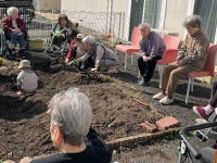 樹の里特養ブログ