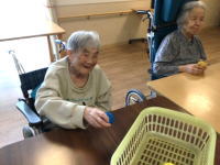 ���̗����{�u���O