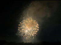 樹の里特養ブログ