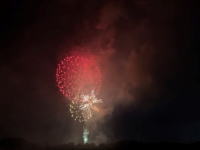 樹の里特養ブログ