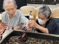 樹の里特養ブログ