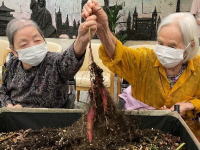 樹の里特養ブログ