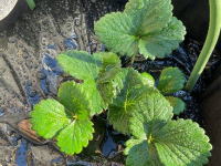 樹の里特養ブログ