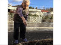 ���̗����{�u���O