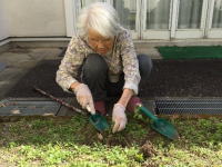 ラシュレ樹の里