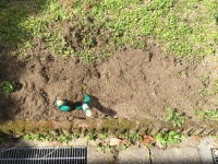 ラシュレ樹の里