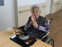 ���V�������̗�